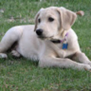 Meet your Posher, Clare